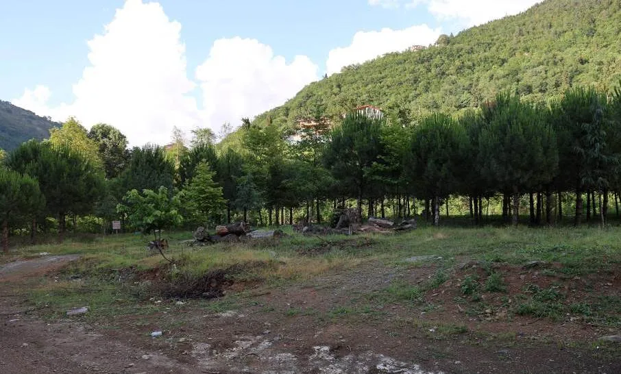 KURU KÖPRÜ’YE ÇOCUK PARKI VE MESİRE ALANI 