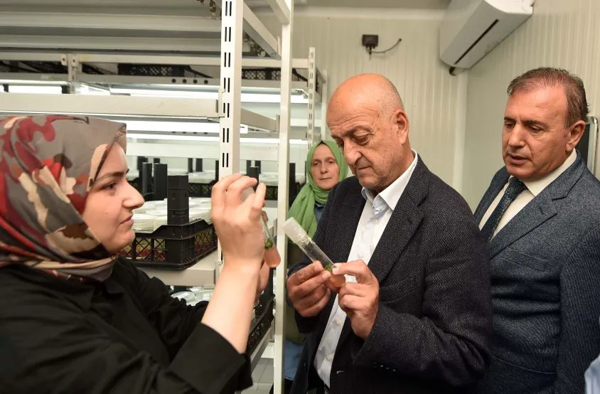 TARIMSAL ÜRETİMDE ÖNEMLİ ADIMLAR ATILIYOR 