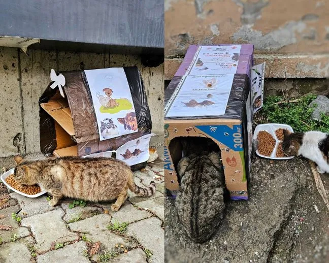 MERHAMETİ VE HAYVAN SEVGİSİYLE ÖRNEK OLDULAR 